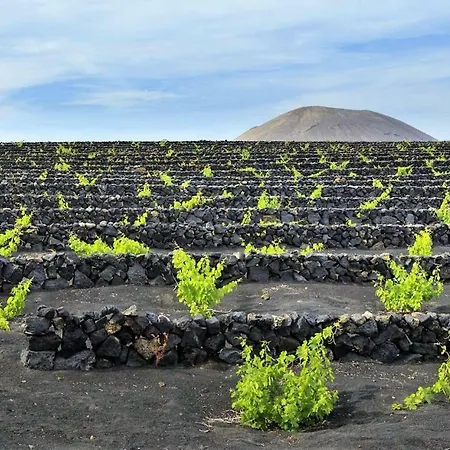 Villa Carmen Lanzarote *