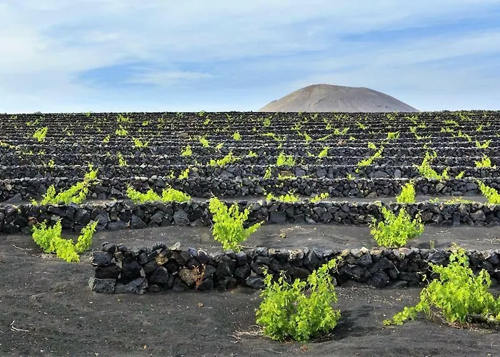 Villa Carmen Lanzarote *